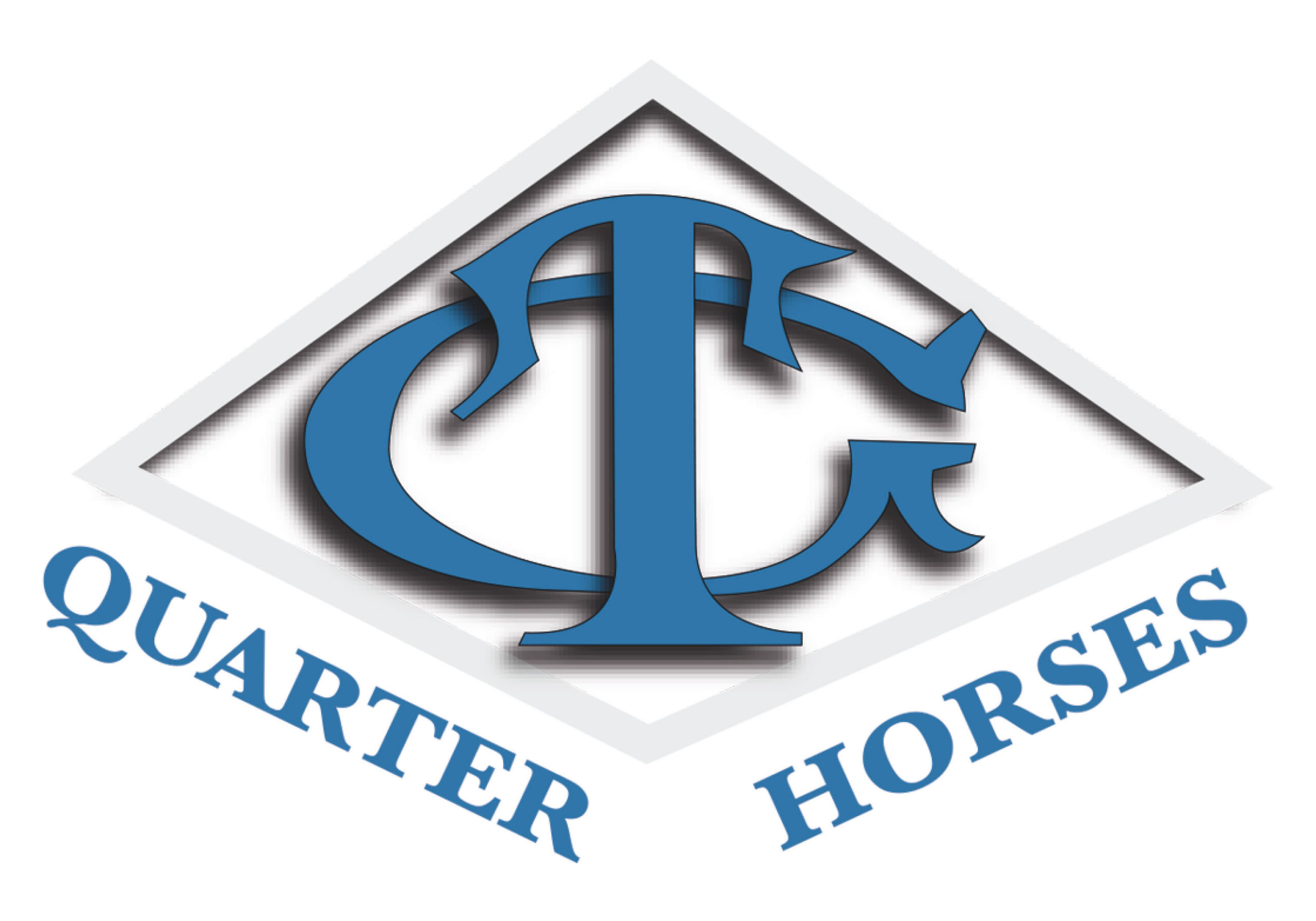 GT QUARTER HORSE